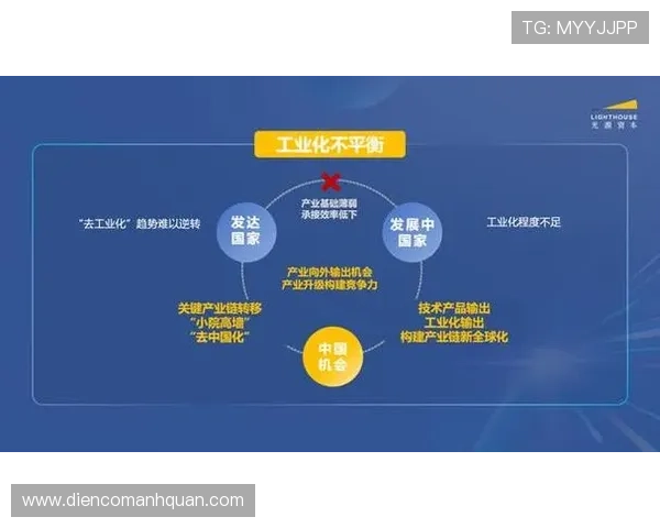 凯时z6集团：在全球化背景下的战略布局与发展机遇
